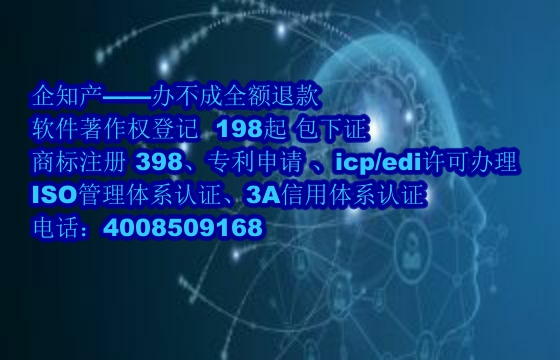 软件著作权保护下的企业创新与竞争优势